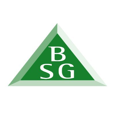 Building saftey group logo.jpg